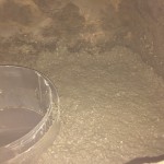 IMG_7875
